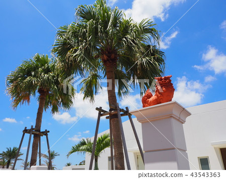 Shisa漂浮在藍天 43543363