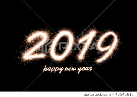 2019 2019 43543613