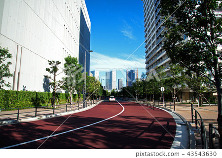 豐洲的高層公寓 豐洲的高層公寓 43543630