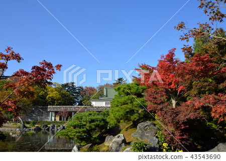 富山城堡遺址公園 43543690