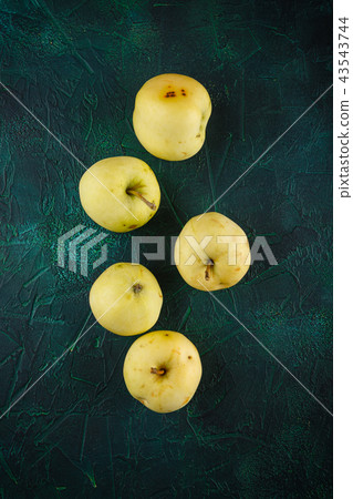 Green season apples 43543744