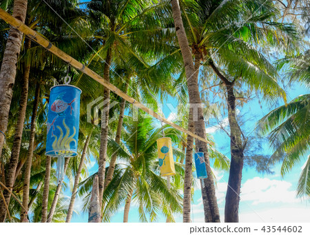 Boracay's palm trees 43544602