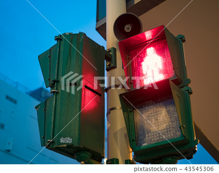 Traffic number Traffic number 43545306