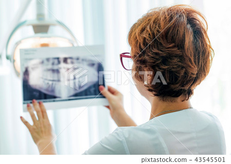 A dentist examines orthopantomogram in her hands 43545501