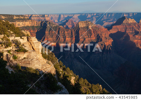 Grand Canyon North Rim Grand Canyon North Rim 43545985