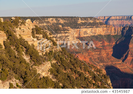Grand Canyon North Rim Grand Canyon North Rim 43545987