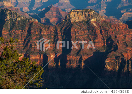 Grand Canyon North Rim Grand Canyon North Rim 43545988