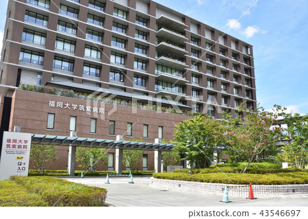 Fukuoka University Chikushi Hospital Fukuoka University Chikushi Hospital 43546697