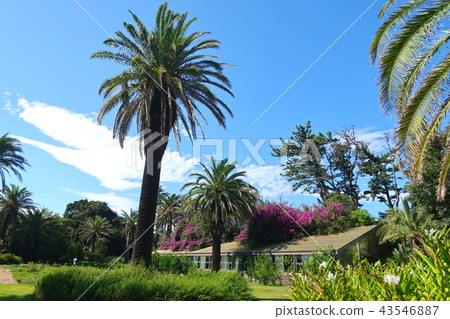 亞洲花園R-Asia Hatsushima 亞洲花園R-Asia Hatsushima 43546887