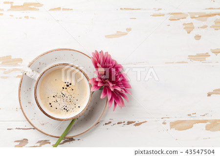 Coffee cup and gerbera flower Coffee cup and gerbera flower 43547504