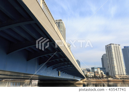 橫濱 橫濱 43547741