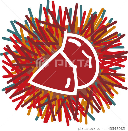 Chestnut iga chestnut autumn 43548085