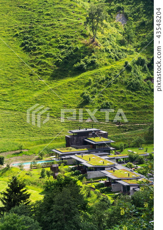 Green living sod roofs covered with vegetation 43548204