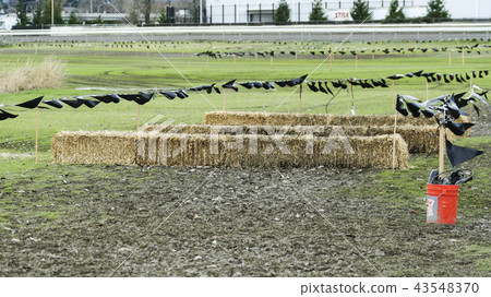 Cross country running race course with hay bales 43548370