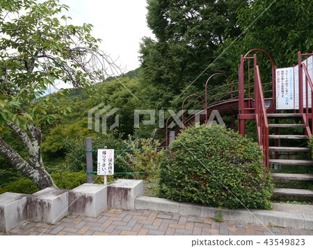 Su訪湖立石公園的幻燈片（100個選定的夜景） 43549823