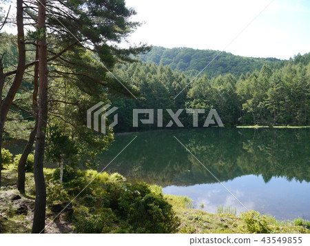 Ogi Kaike Oku Tateshina Onsenkyo Yatsugatake Chushingu National Park (100 selections of ponds) 43549855