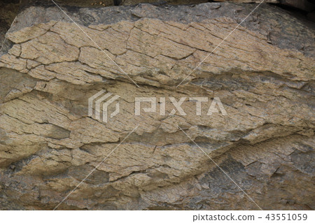 Rough rough skin 43551059