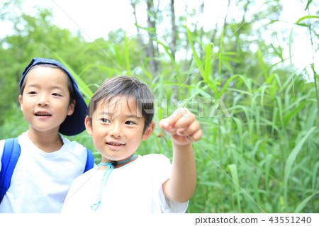 A child who catches a dragonfly A child who catches a dragonfly 43551240