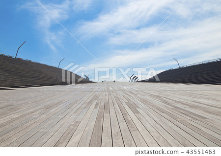 橫濱大坂橋，在很多鯨魚的中間 43551463