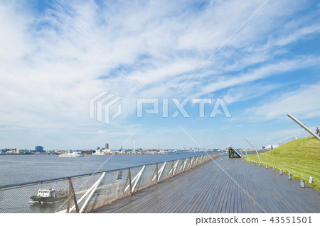 Yokohama Osanbashi, in the middle of a lot of whales 43551501