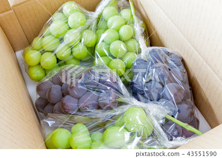 Kyoho, Shine Muscat, boxed, for gifts 43551590