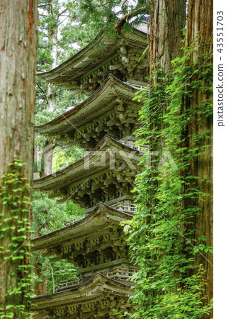 Dewa Miyama Yamagata Prefecture Haguro Mountain Five-storied Pagoda 43551703