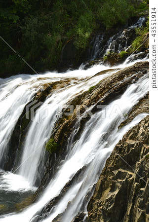 [Aichi Prefecture Toei-cho] Ivy no Abyss 43551914