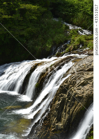 [Aichi Prefecture Toei-cho] Ivy no Abyss 43551917