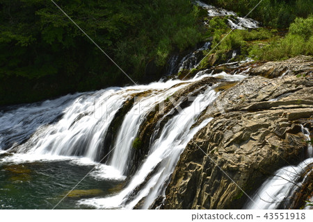 [Aichi Prefecture Toei-cho] Ivy no Abyss 43551918