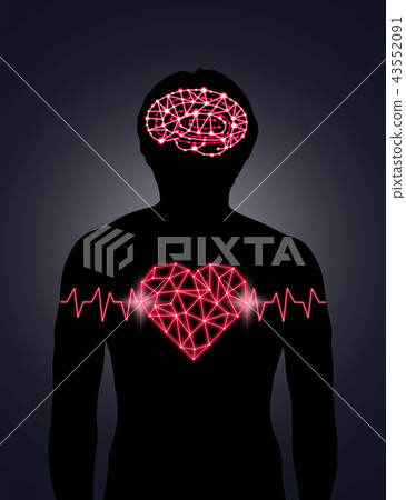 Silhouette of human body with technology line and dot of polygonal shape brain and heart, Science healthy education concept, physician technology with network connections and science healthy concept Silhouette of human body with technology line and dot of polygonal shape brain and heart, Science healthy education concept, physician technology with network connections and science healthy concept 43552091
