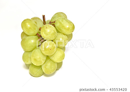 Grape (Suiho) Grape (Suiho) 43553420