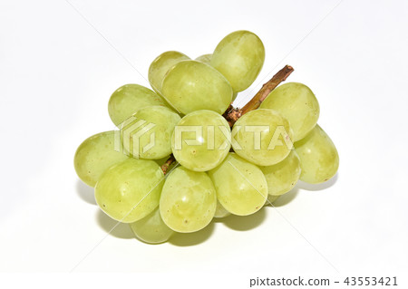 Grape (Suiho) Grape (Suiho) 43553421