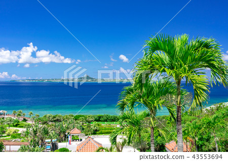 在沖繩海洋世博公園附近的海 在沖繩海洋世博公園附近的海 43553694