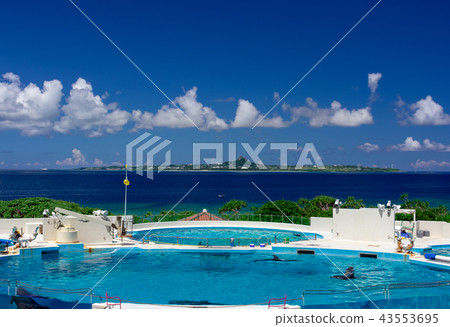 Sea near Ocean Expo Park in Okinawa 43553695