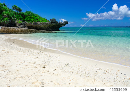 在沖繩海洋世博公園附近的海 43553699