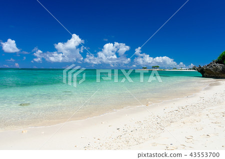 在沖繩海洋世博公園附近的海 43553700