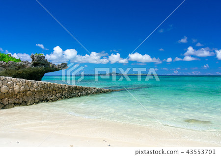 Sea near Ocean Expo Park in Okinawa 43553701