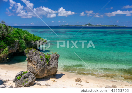 Sea near Ocean Expo Park in Okinawa 43553703