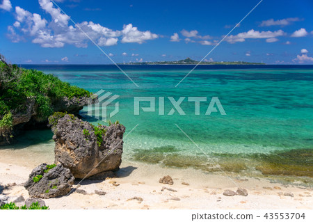 Sea near Ocean Expo Park in Okinawa 43553704