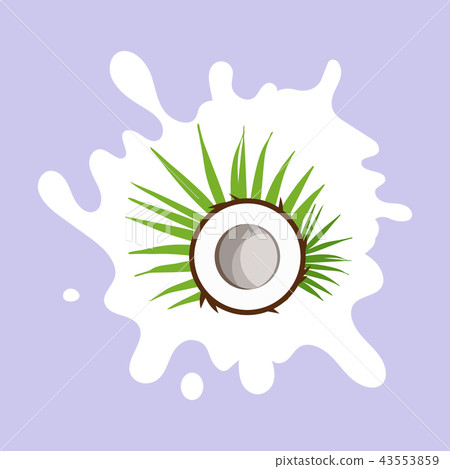 Coconut milk. Coconut on a milk splash. Flat design style. Vector illustration. Coconut milk. Coconut on a milk splash. Flat design style. Vector illustration. 43553859