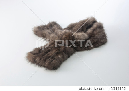 Scarf Scarf 43554122
