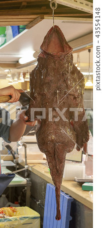 Ankou hanging cut off 43554148