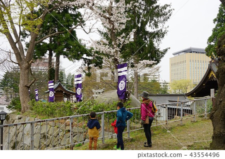 Morioka Castle ruins park in spring 43554496