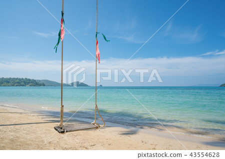 Swing hang from coconut palm tree  43554628
