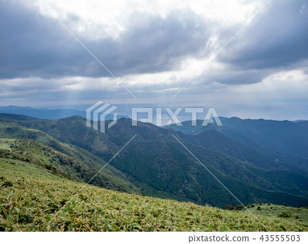 [伊豆半島]秋天的高原風景[伊豆山嶺線小徑，達摩山周圍] 43555503