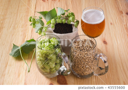 Glass of beer, cones of hop, pale caramel malt Glass of beer, cones of hop, pale caramel malt 43555600