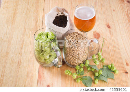 Glass of beer, cones of hop, pale caramel malt Glass of beer, cones of hop, pale caramel malt 43555601
