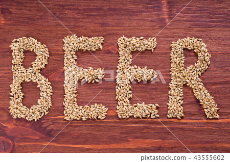 The inscription of beer by malt grains on wood  43555602