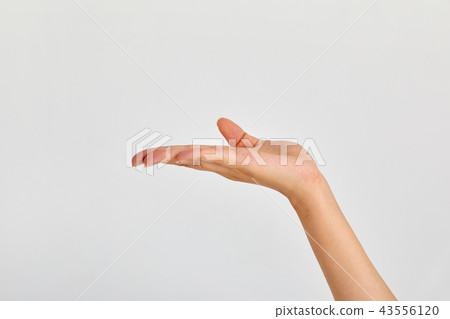 The hand holding the commodity holding the palm, 20s, 30s business woman, empty hand, The hand holding the commodity holding the palm, 20s, 30s business woman, empty hand, 43556120