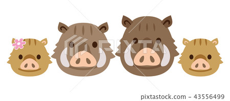 野豬家族 野豬家族 43556499